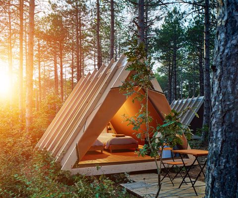 Gallery Group Squirrel Tent 